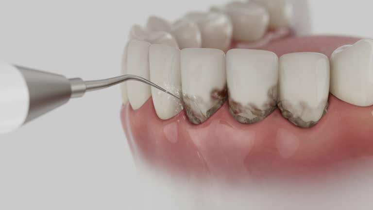 Reliable Dental contractor in North Eagle Butte, SD by Dentist Open Now